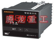 溫度表、數(shù)字顯示儀、濕度表