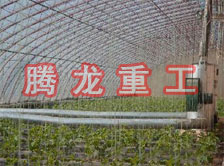 大棚花卉供暖設(shè)備、大棚卉采暖設(shè)備、大棚花卉取暖設(shè)備